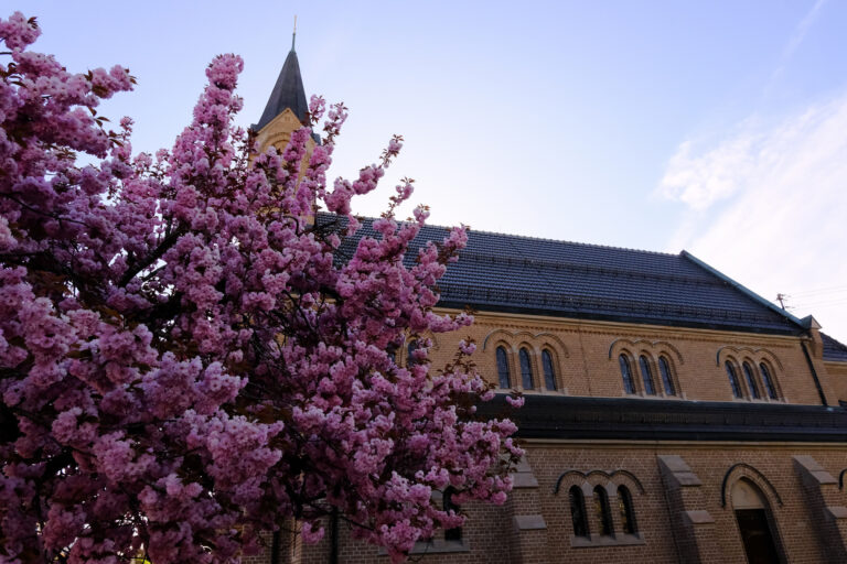 Sanierung Kirche | Matzenbach