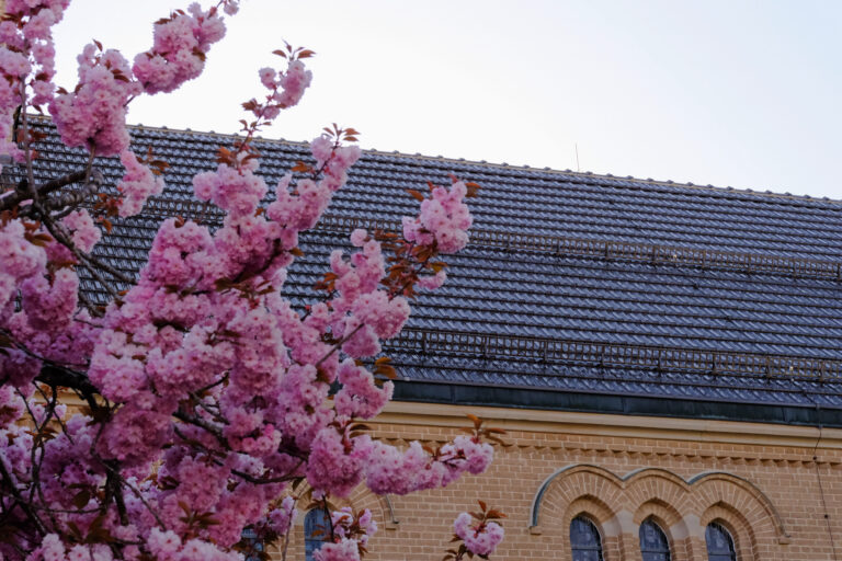 Sanierung Kirche | Matzenbach