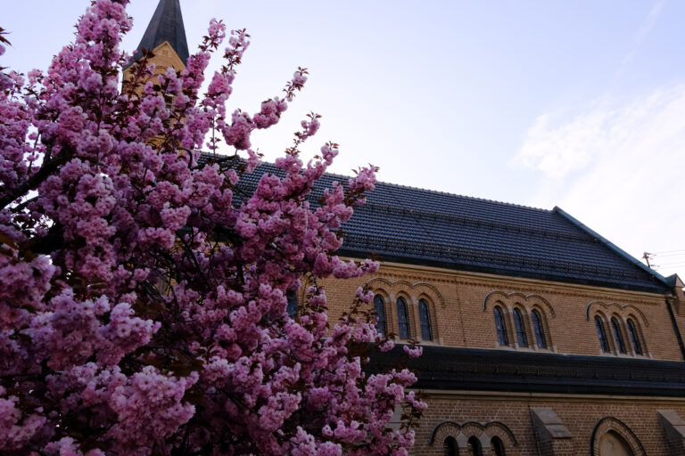 Sanierung Kirche | Matzenbach